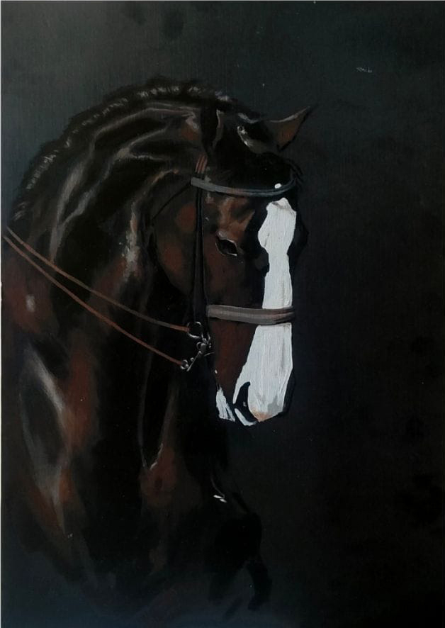Horse  Face - 5