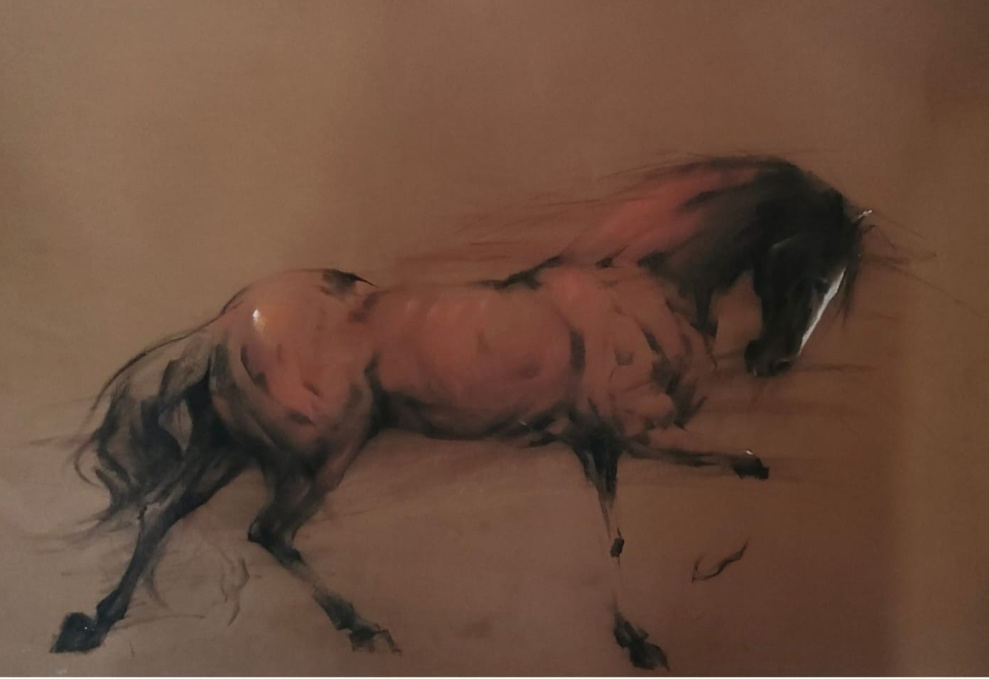 Horse  walking brown 2