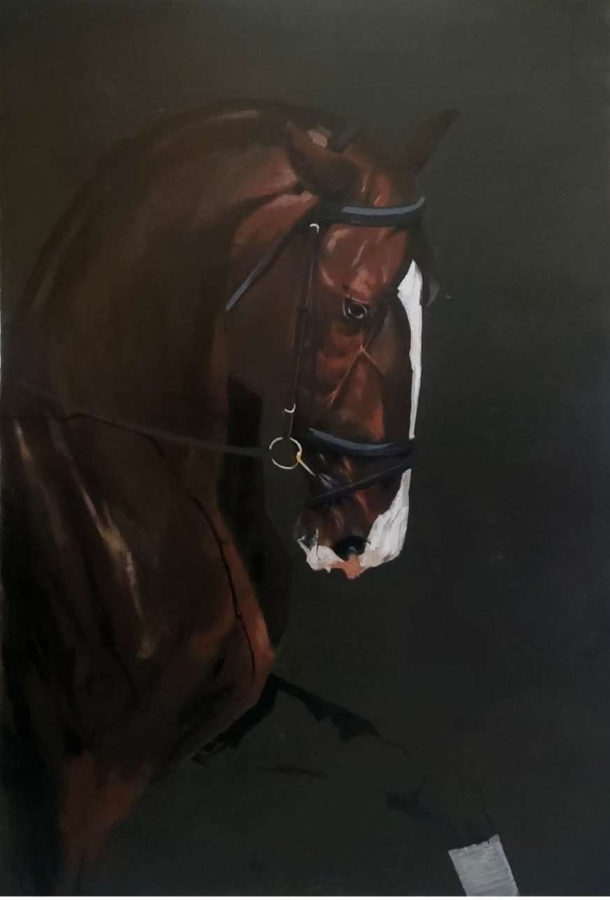 Horse  Face - 2