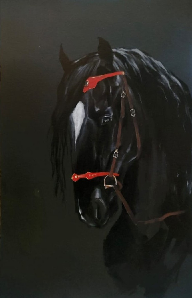 Horse  Face - 3
