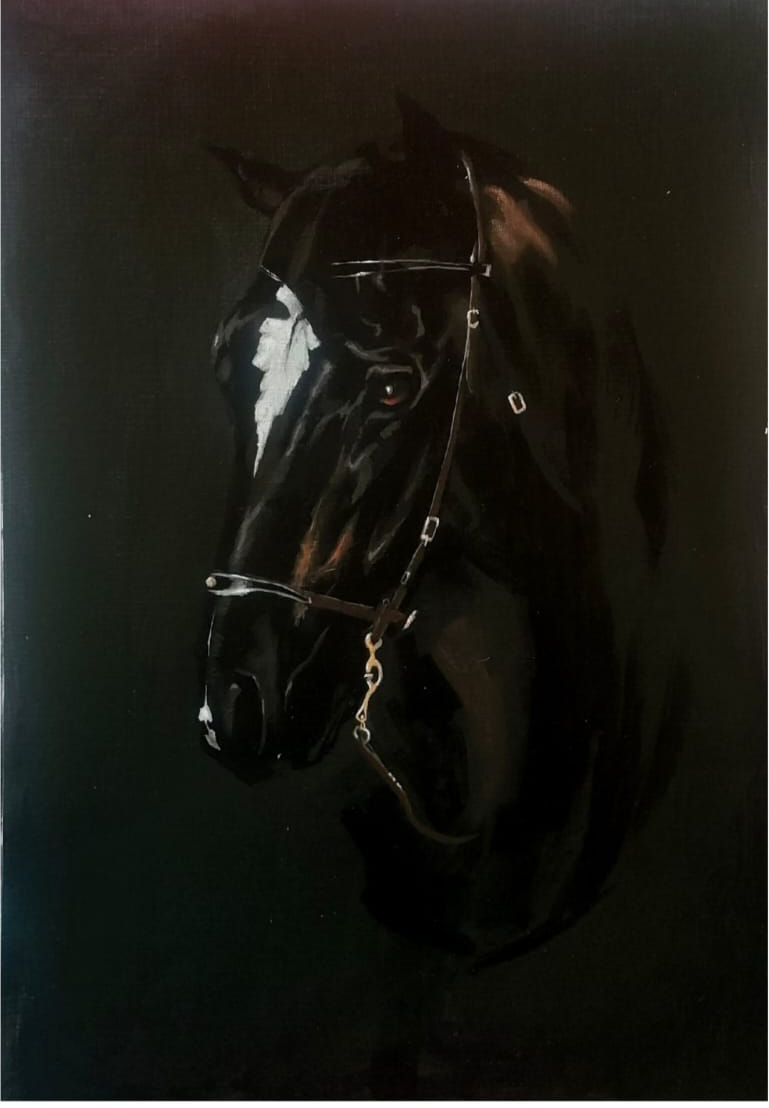 Horse  Face - 4