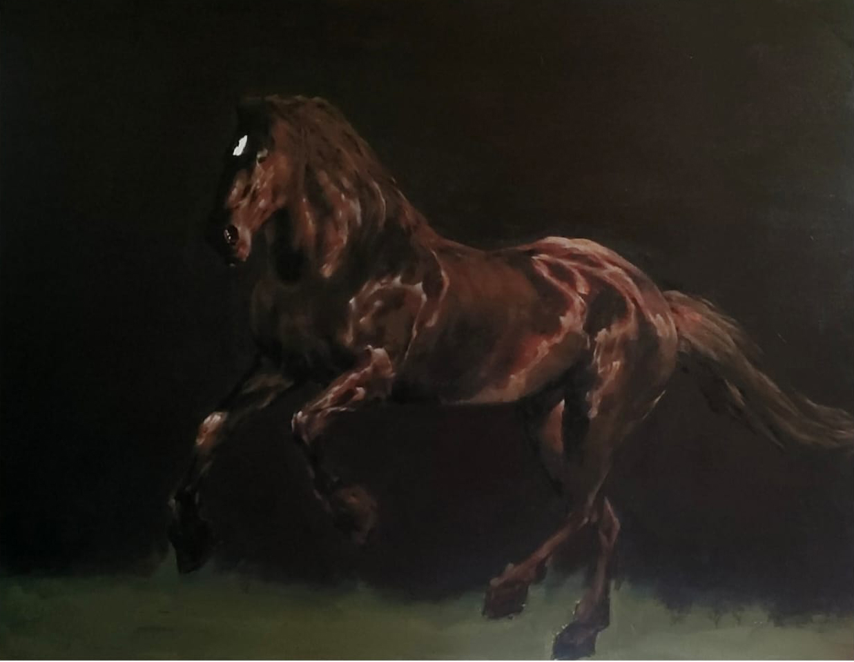 Horse  Running - 2