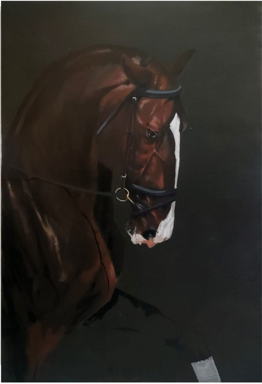 Horse  Face -  5